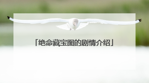 绝命藏宝图的剧情介绍