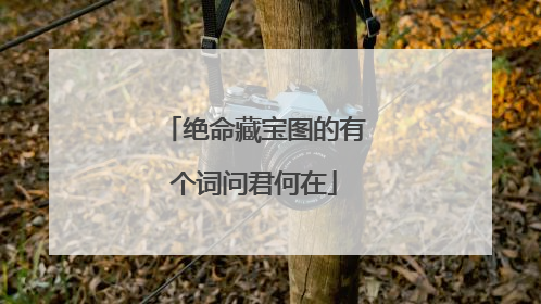 绝命藏宝图的有个词问君何在