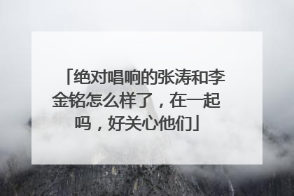 绝对唱响的张涛和李金铭怎么样了,在一起吗,好关心他们