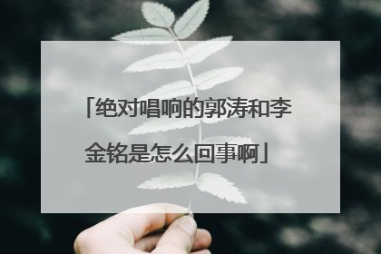 绝对唱响的郭涛和李金铭是怎么回事啊