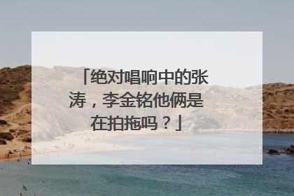 绝对唱响中的张涛，李金铭他俩是在拍拖吗？