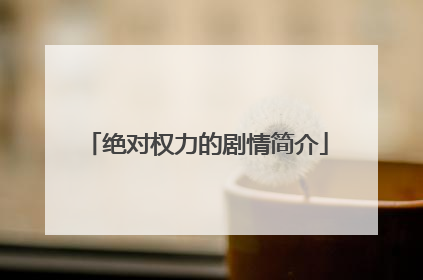 绝对权力的剧情简介