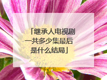 继承人电视剧一共多少集最后是什么结局