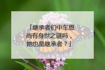 继承者们中车恩尚有身世之谜吗,她也是继承者?