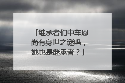 继承者们中车恩尚有身世之谜吗,她也是继承者?