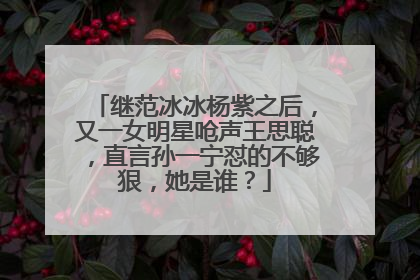 继范冰冰杨紫之后，又一女明星呛声王思聪，直言孙一宁怼的不够狠，她是谁？