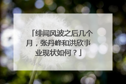 绯闻风波之后几个月，张丹峰和洪欣事业现状如何？