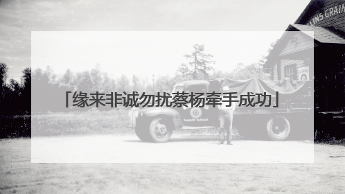 缘来非诚勿扰蔡杨牵手成功