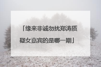 缘来非诚勿扰郑涛质疑女嘉宾的是哪一期