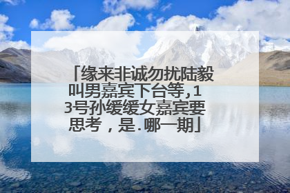 缘来非诚勿扰陆毅叫男嘉宾下台等,13号孙缓缓女嘉宾要思考,是.哪一期