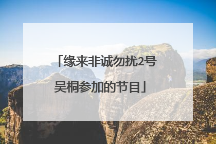 缘来非诚勿扰2号吴桐参加的节目