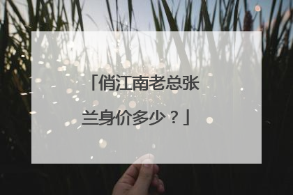 俏江南老总张兰身价多少?