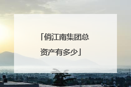 俏江南集团总资产有多少