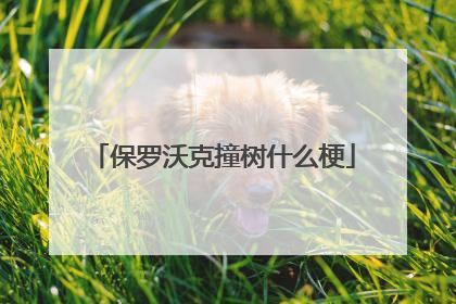 保罗沃克撞树什么梗