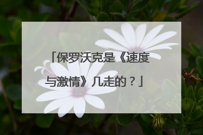 保罗沃克是《速度与激情》几走的?