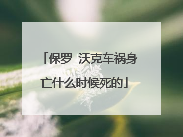 保罗 沃克车祸身亡什么时候死的