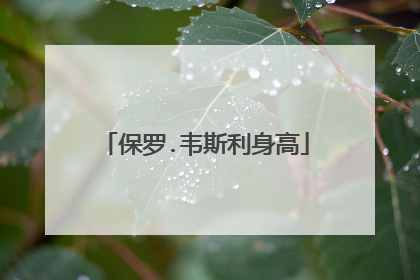 保罗.韦斯利身高