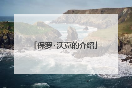 保罗·沃克的介绍