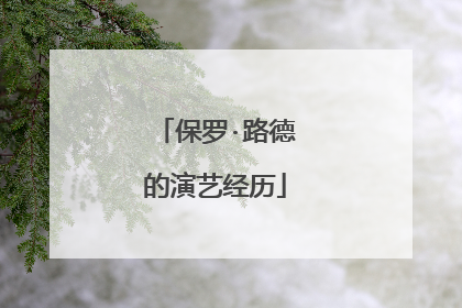 保罗·路德的演艺经历