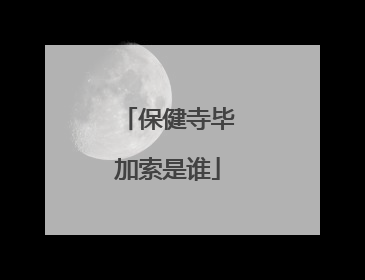 保健寺毕加索是谁