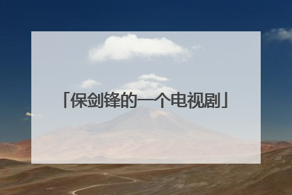 保剑锋的一个电视剧