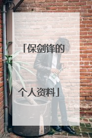 保剑锋的个人资料