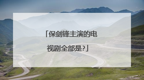 保剑锋主演的电视剧全部是?