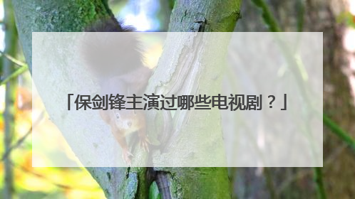 保剑锋主演过哪些电视剧?