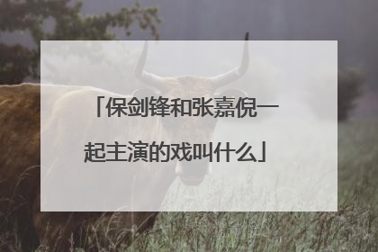 保剑锋和张嘉倪一起主演的戏叫什么