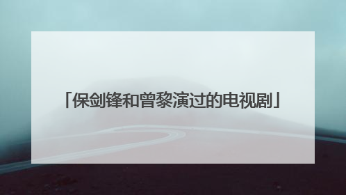 保剑锋和曾黎演过的电视剧