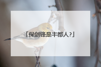 保剑锋是丰都人?