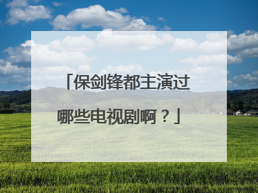 保剑锋都主演过哪些电视剧啊?
