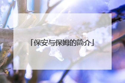 保安与保姆的简介