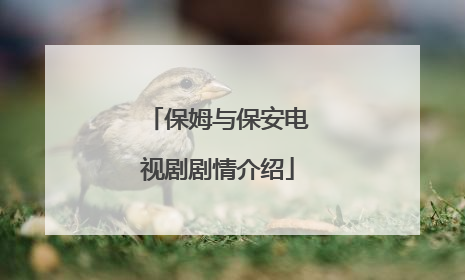 保姆与保安电视剧剧情介绍