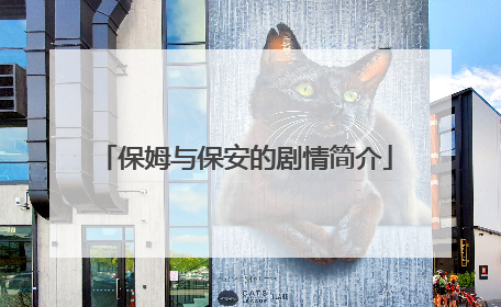 保姆与保安的剧情简介