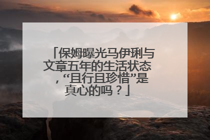 保姆曝光马伊琍与文章五年的生活状态，“且行且珍惜”是真心的吗？
