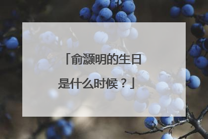 俞灏明的生日是什么时候?