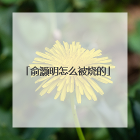 俞灏明怎么被烧的