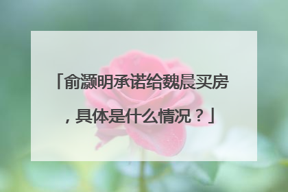 俞灏明承诺给魏晨买房,具体是什么情况?