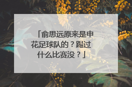 俞思远原来是申花足球队的?踢过什么比赛没?