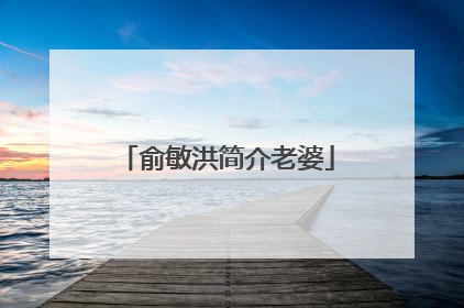 俞敏洪简介老婆