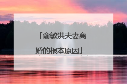 俞敏洪夫妻离婚的根本原因