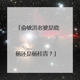 俞敏洪老婆是晓杨还是杨桂青？