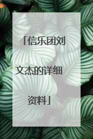 信乐团刘文杰的详细资料