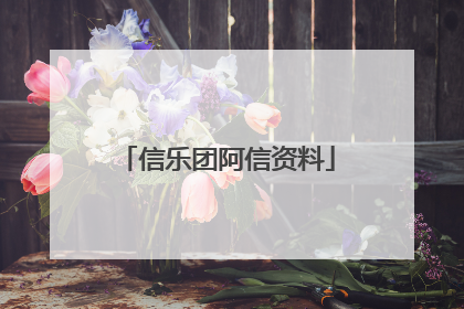 信乐团阿信资料