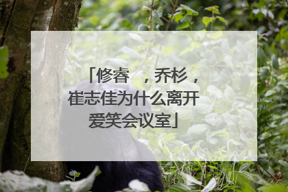 修睿 ,乔杉,崔志佳为什么离开爱笑会议室