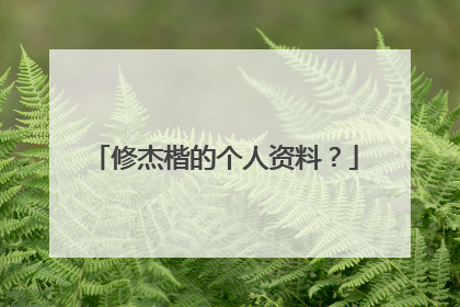 修杰楷的个人资料?