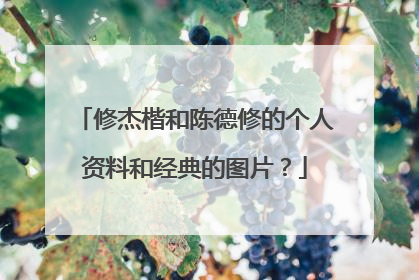 修杰楷和陈德修的个人资料和经典的图片?