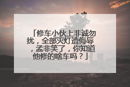 修车小伙上非诚勿扰，全部灭灯遭侮辱，孟非笑了，你知道他修的啥车吗？
