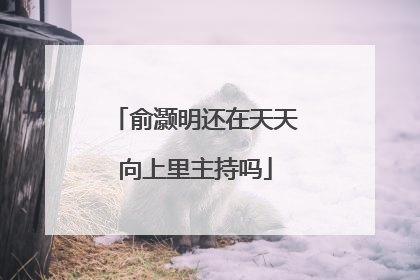 俞灏明还在天天向上里主持吗